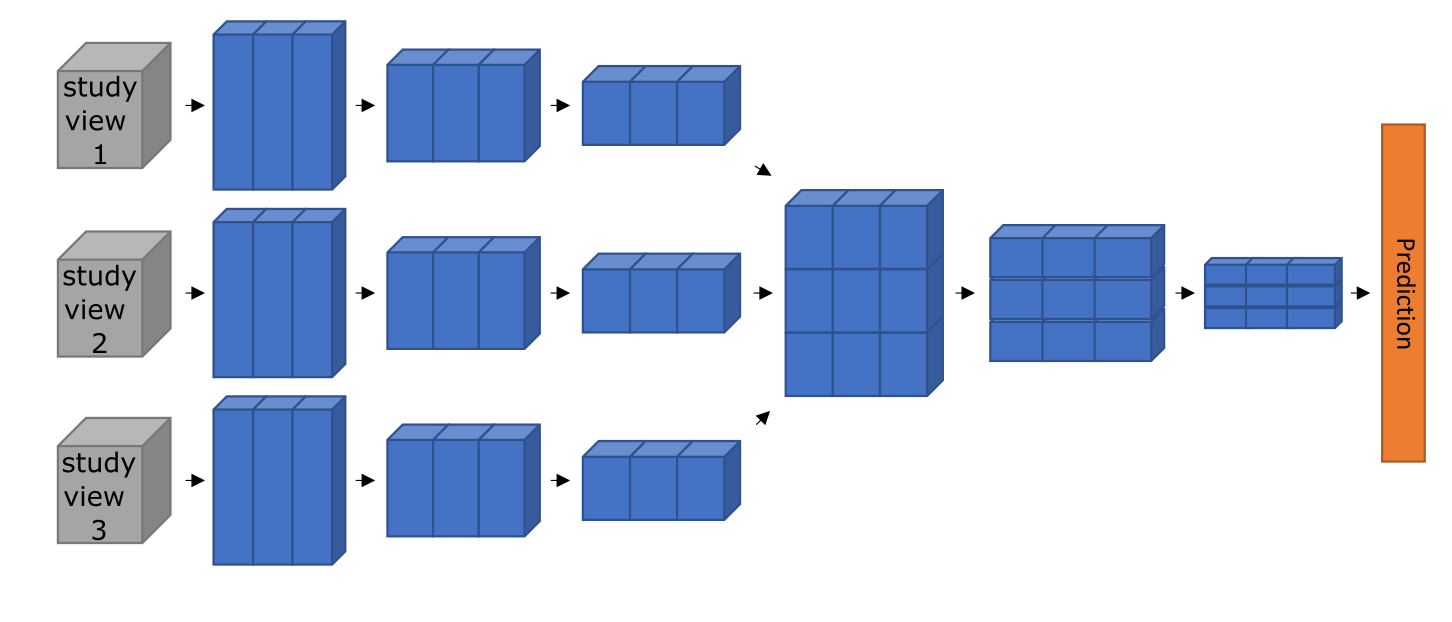 Multi-view architecture schematic (Figure 1)